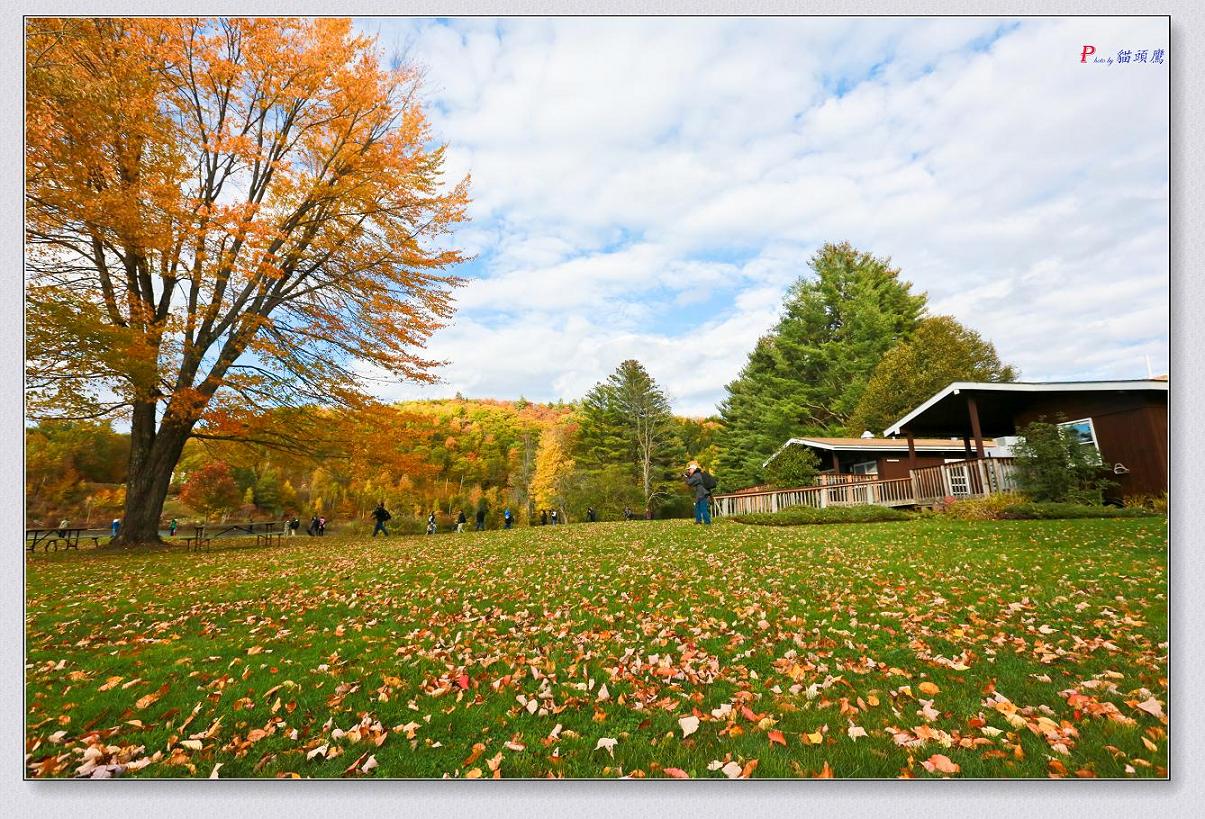 10-11-2014ﾰ-4 023-2.jpg