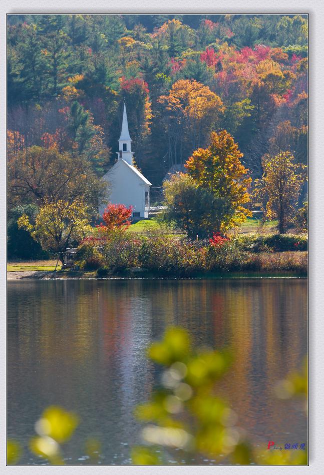 10-11-2014ﾰ-3 097-2.jpg