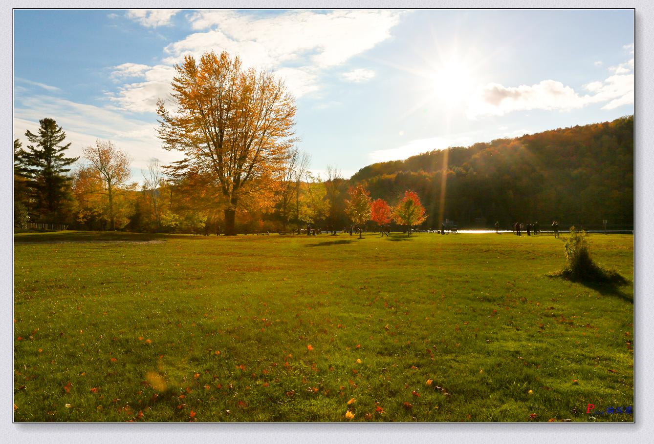 10-11-2014ﾰ-4 105-2.jpg