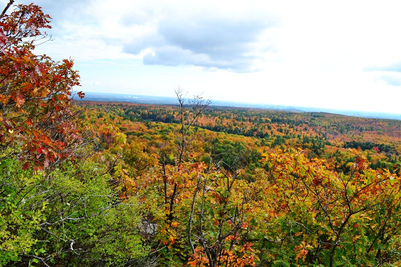 DSC_0175.JPG