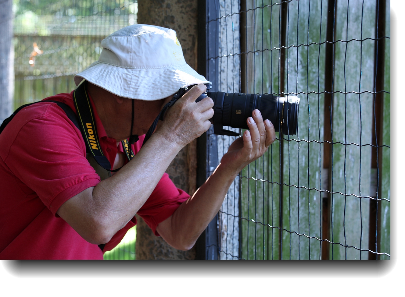 IMG_9561a.jpg