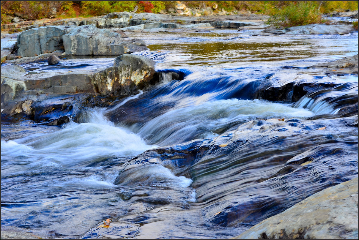 DSC_9374_1.jpg