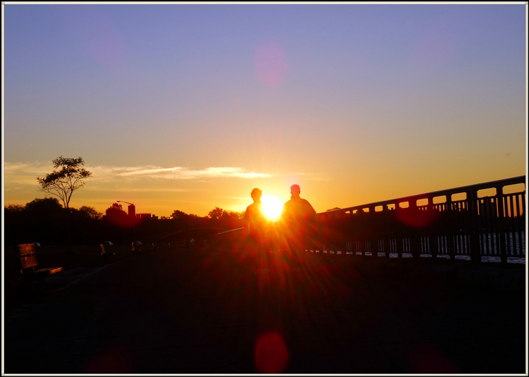 dsc08403_.jpg