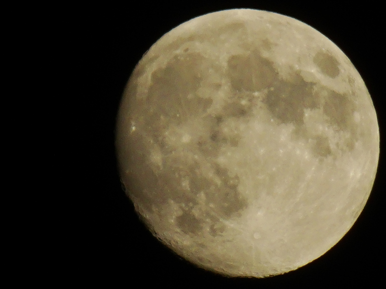 DSC07442.JPG