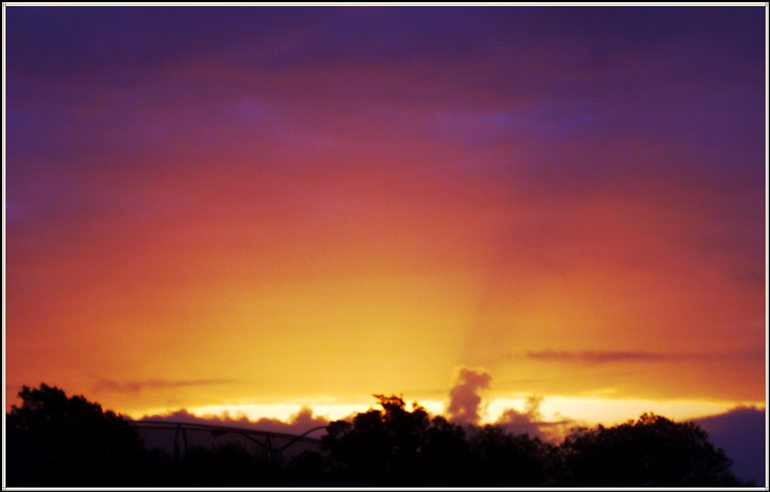 DSC08124_.jpg