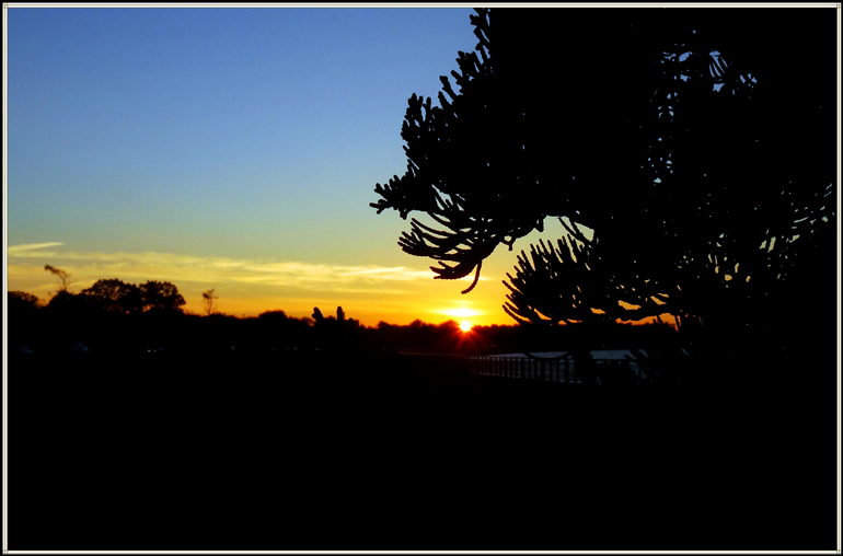 dsc08390_.jpg