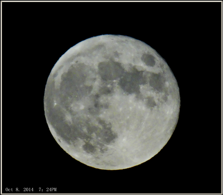 dsc07560_.jpg