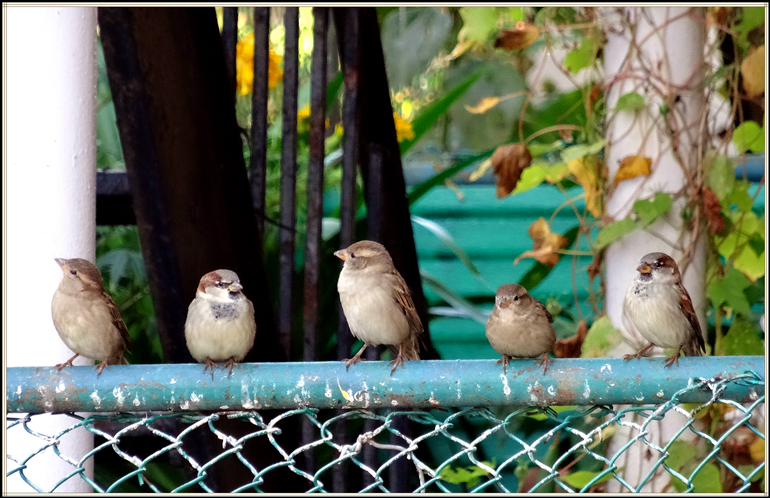 dsc08202_.jpg