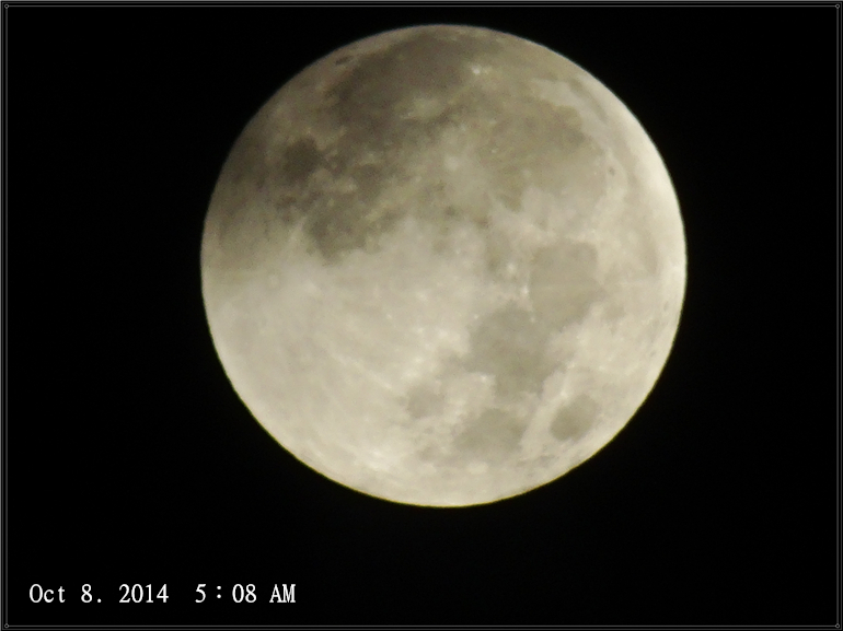 dsc07453_1_.jpg