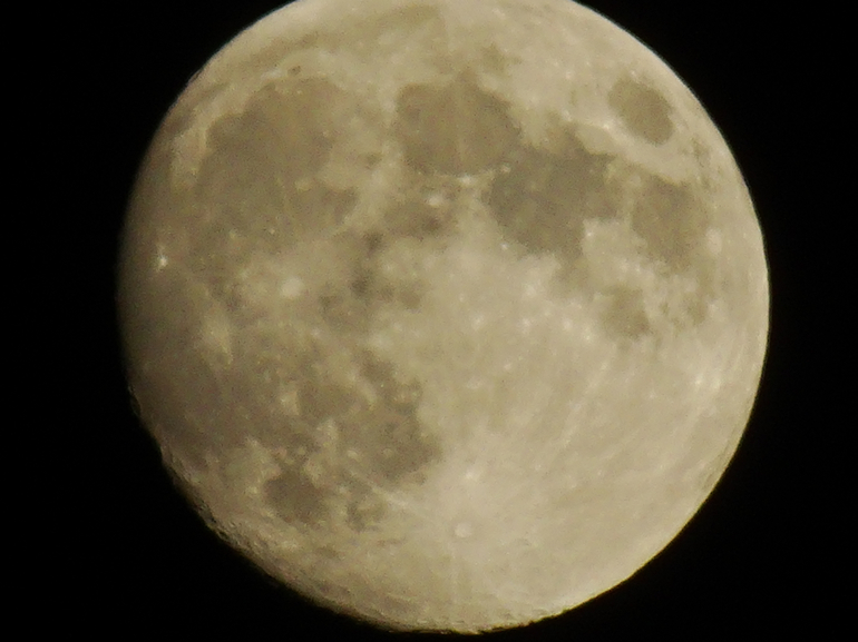 DSC07448.JPG