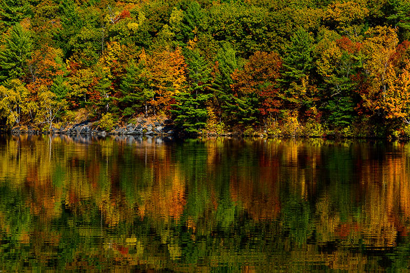 D810LebanonNH101420140171a.jpg