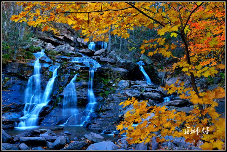 DSC_7397.jpg