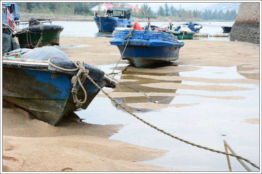 DSC_1105_1.JPG