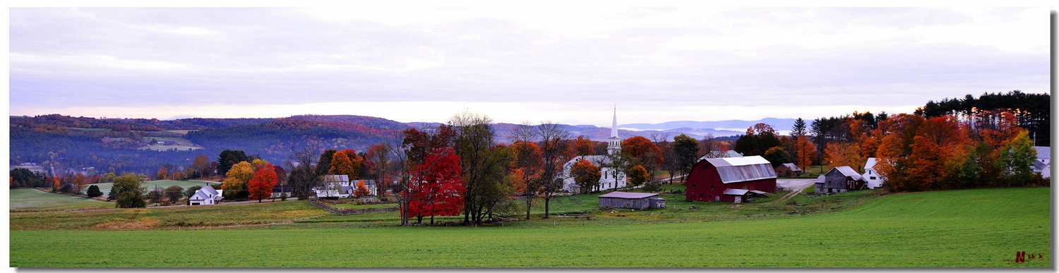 DSC_6028___.jpg