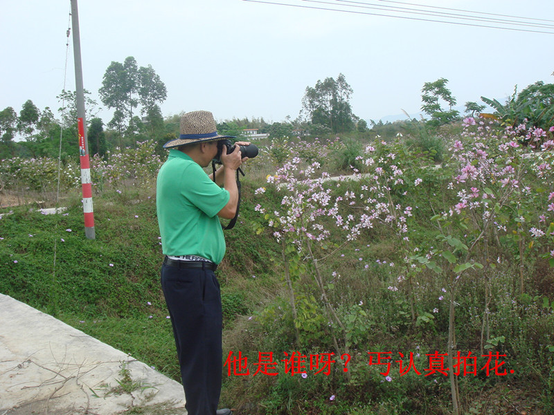 DSC01410__.jpg