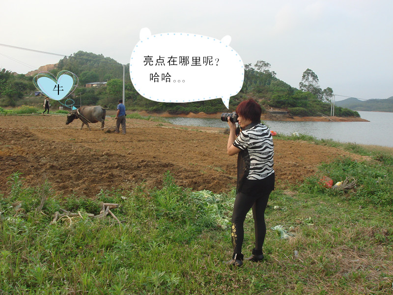 DSC01448__.jpg
