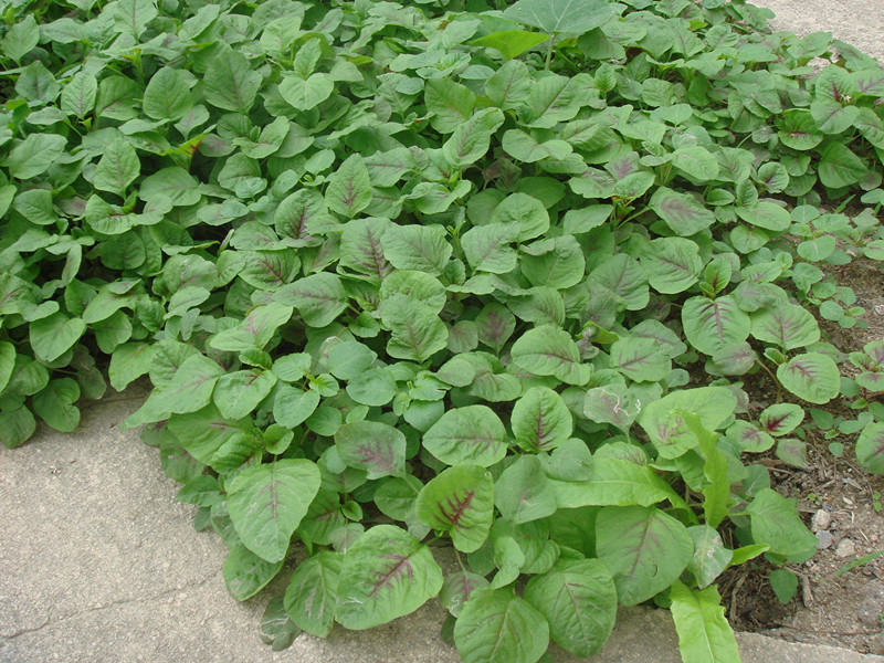 DSC01402_.jpg