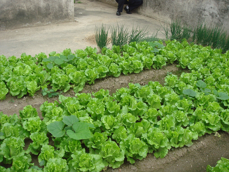 DSC01391_.jpg