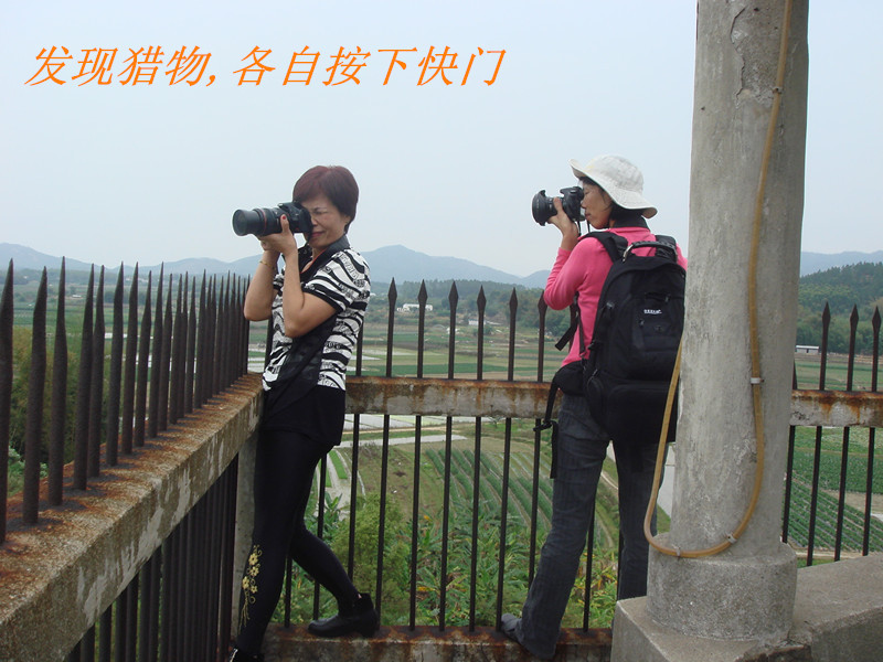 DSC01400__.jpg