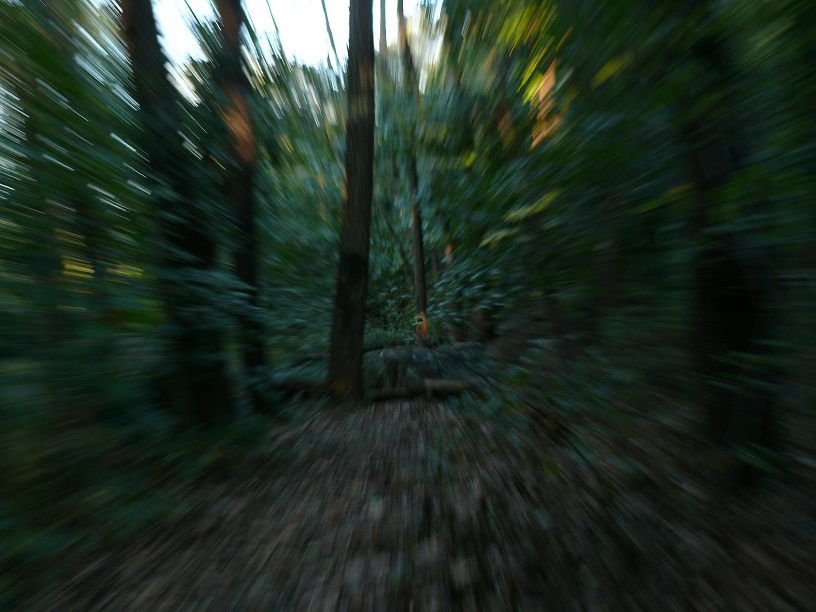 L1710318.JPG