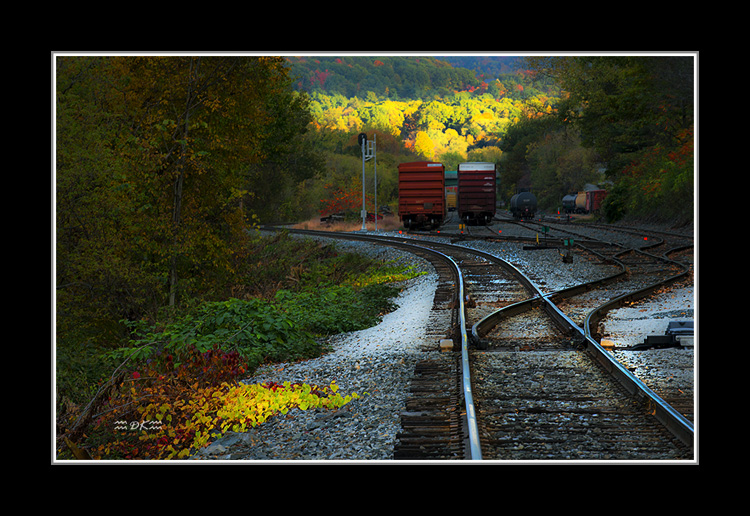 DSC_0141C1.jpg