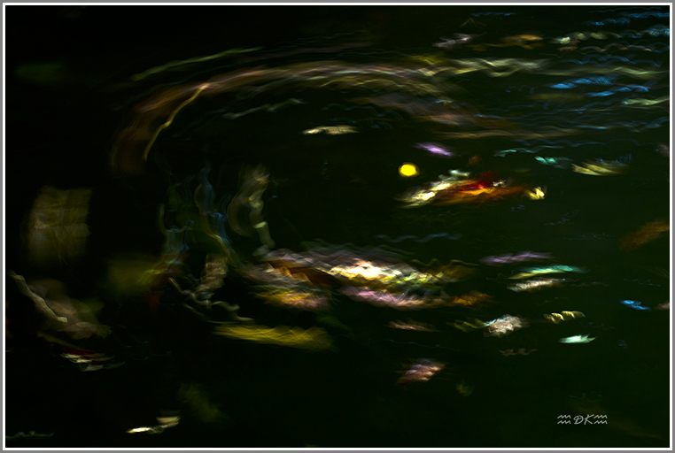 DSC_1377C.jpg