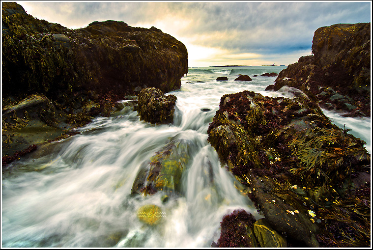 DSC_9898C1.jpg