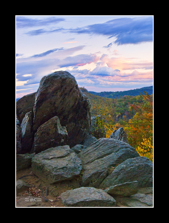 DSC_0122C.jpg