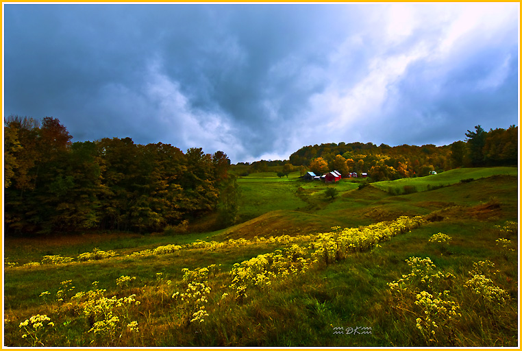 DSC_8436C.jpg