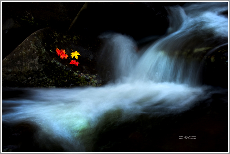 DSC_1438C.jpg