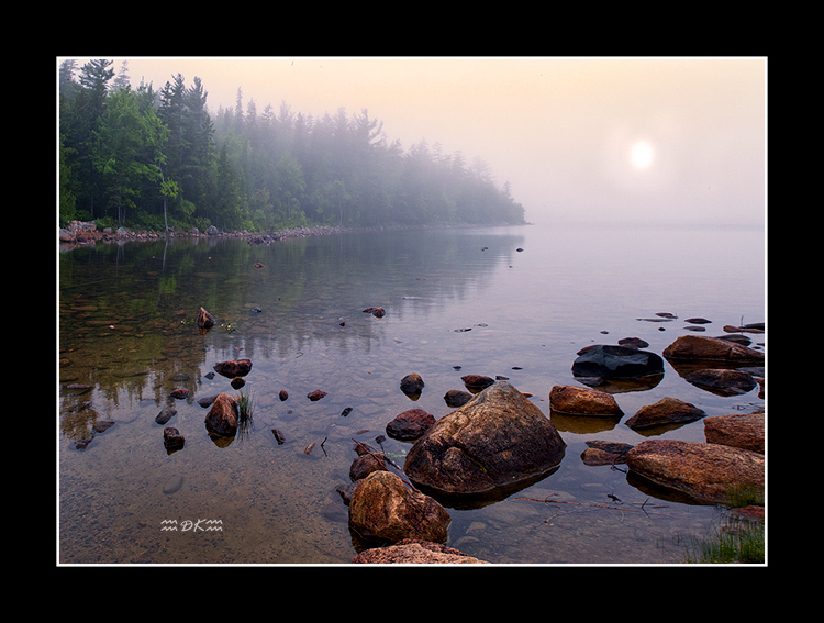 _DSC9484C1.jpg