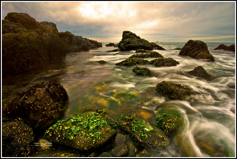 DSC_0026C1.jpg