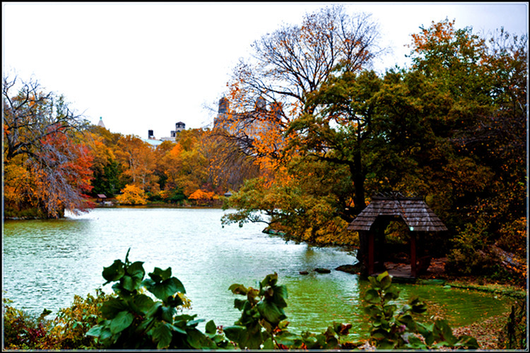 _DSC3477_.jpg