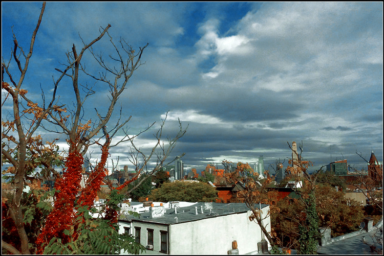 20141024_100919.jpg