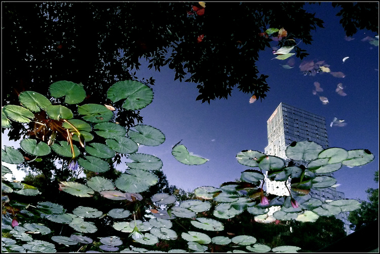 20140915_174133.jpg