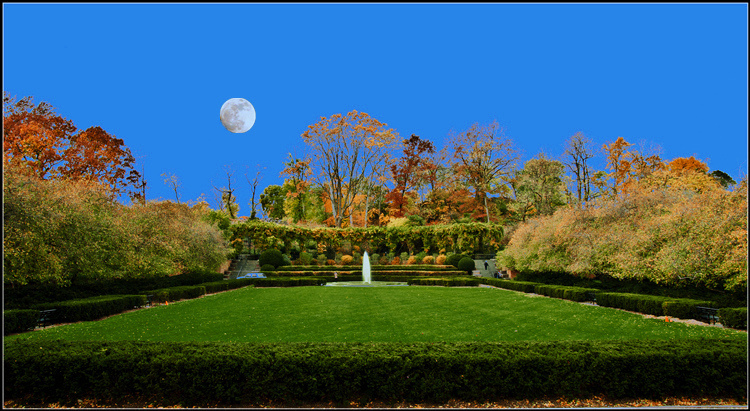 DSC_1427b.jpg