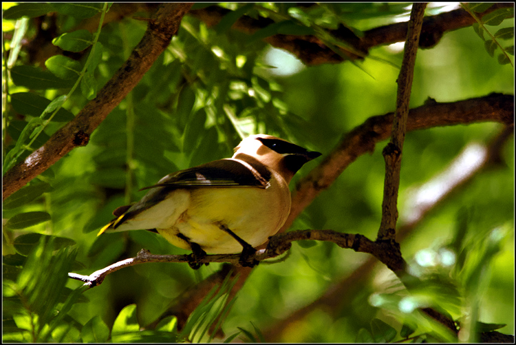 DSC_9679.jpg