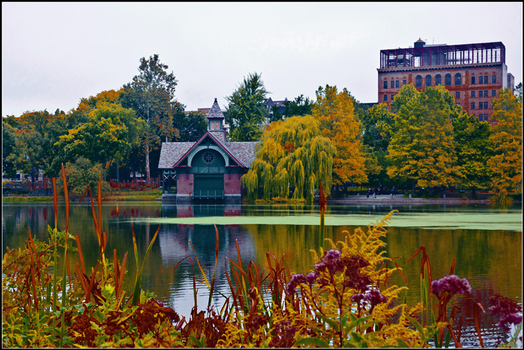 DSC_0367.jpg