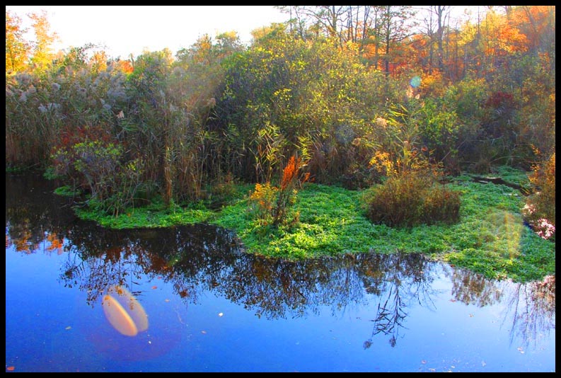 2014_10_2966114-52 - Copy.jpg