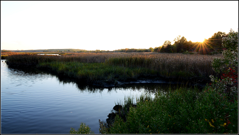 DSC_7290.jpg