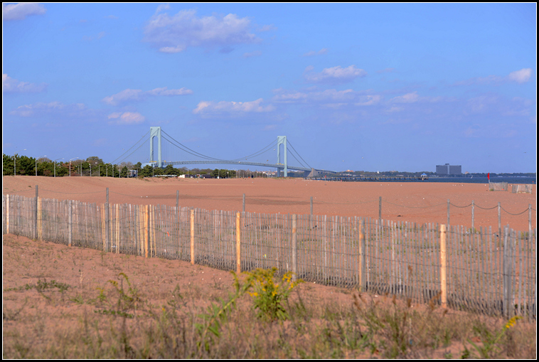 DSC_7387.jpg