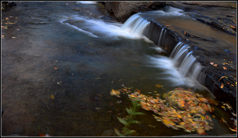 DSC_7494.jpg