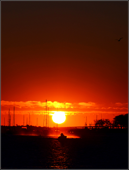 DSC_4627.jpg