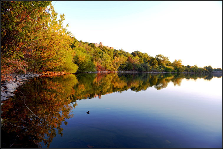 DSC_3019.jpg