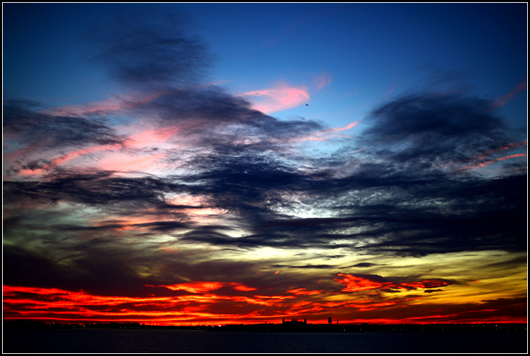 DSC_7955.jpg
