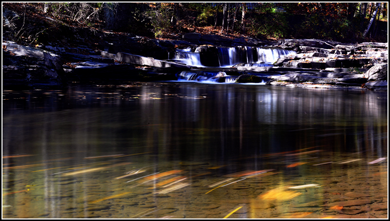 DSC_7711.jpg