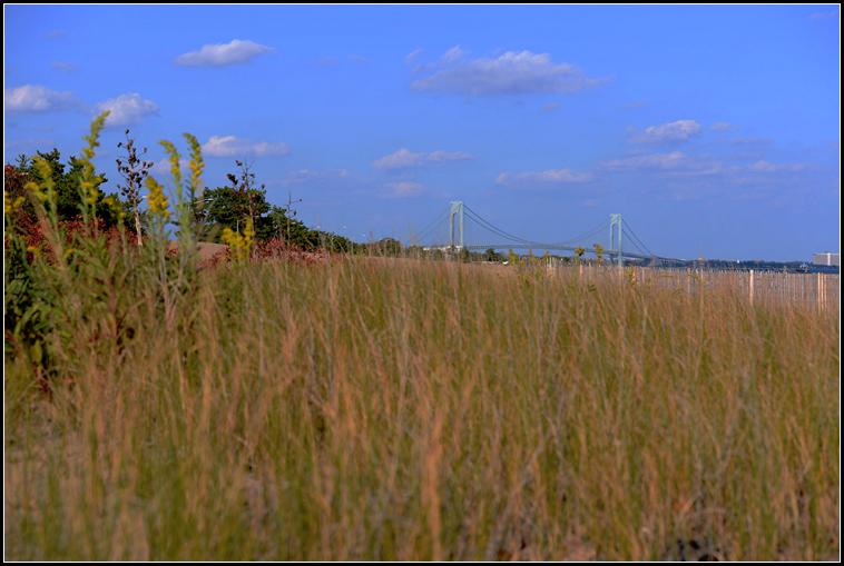DSC_7386.jpg