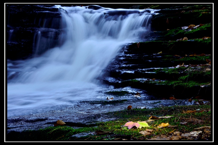 _DSC5303_1_01.JPG