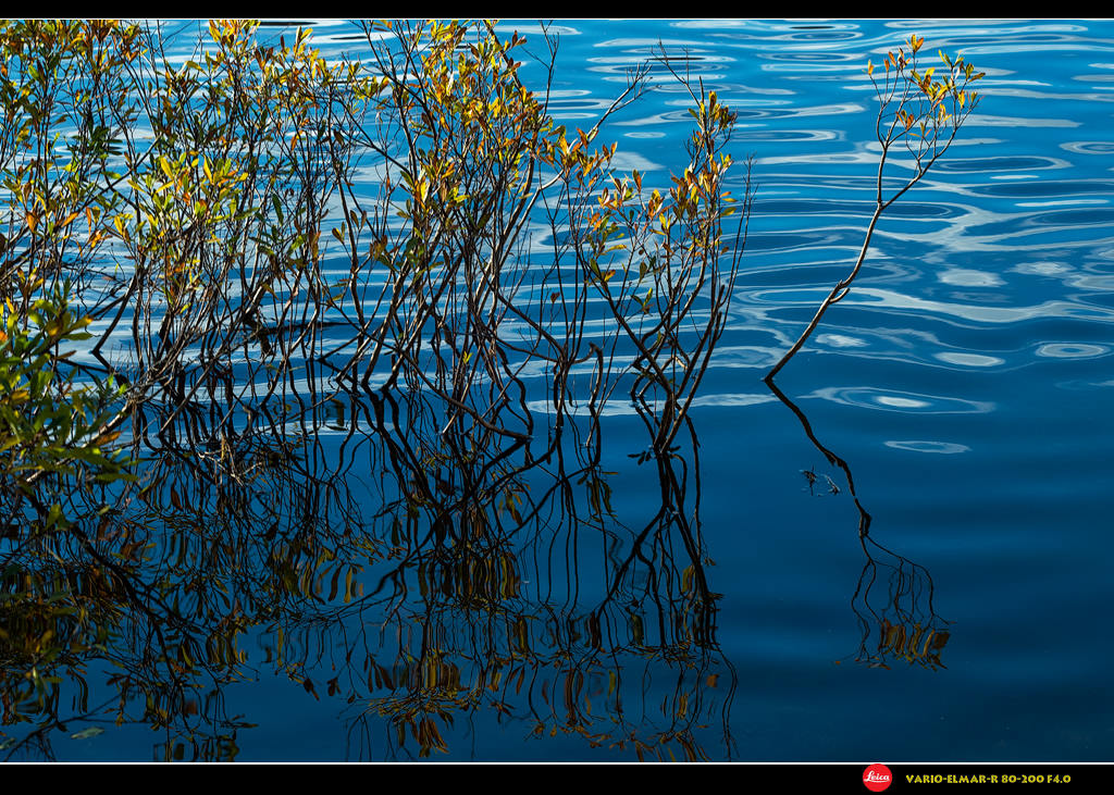 DSC_9584s.jpg