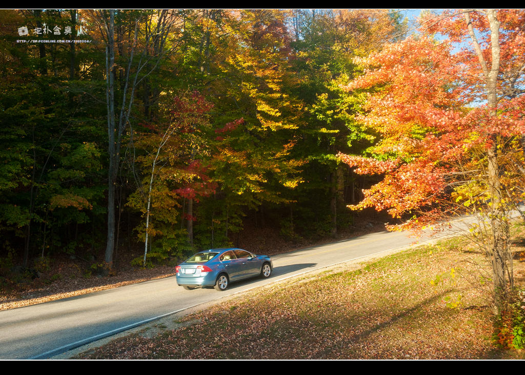 DSC_6604s.jpg